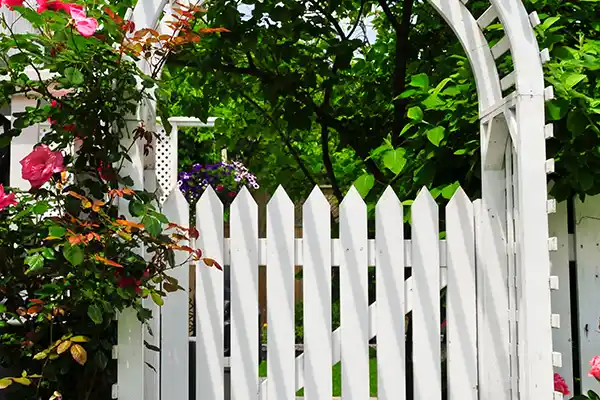 White arbor gate