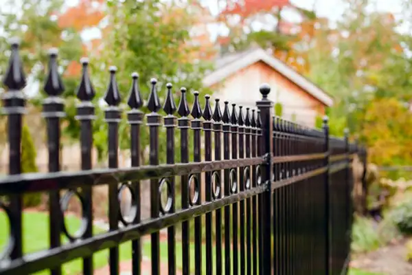 Black iron fence